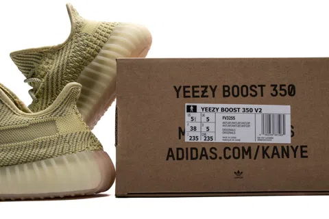 Yeezy Boost 350 Antlia Reflective – photo 12