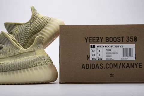 Yeezy Boost 350 Antlia – photo 12