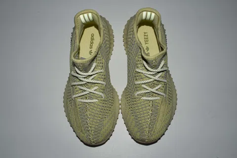 Yeezy Boost 350 Antlia – photo 8