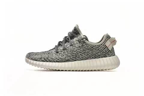 Yeezy Boost 350 Turtle Dove
