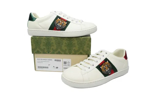 Gucci Ace Tiger Year – photo 7