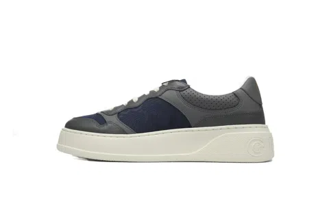 Grey/Blue