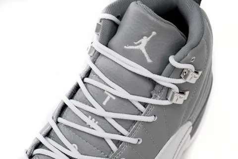 Air Jordan 12 Stealth – photo 7