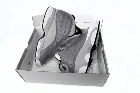 Air Jordan 13 Turtle Dove – photo 11