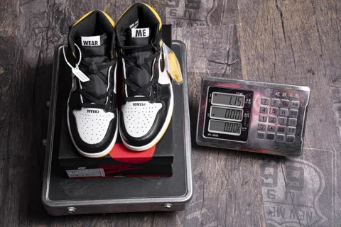 Air Jordan 1 High Not For Resale – photo 7