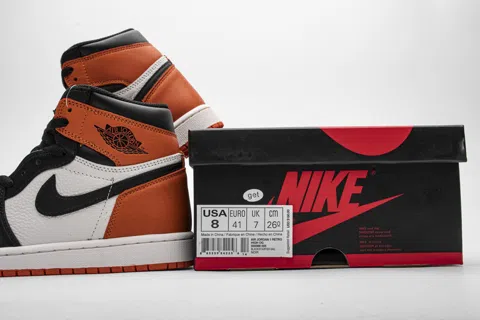 Air Jordan 1 High Shattered Backboard – photo 12