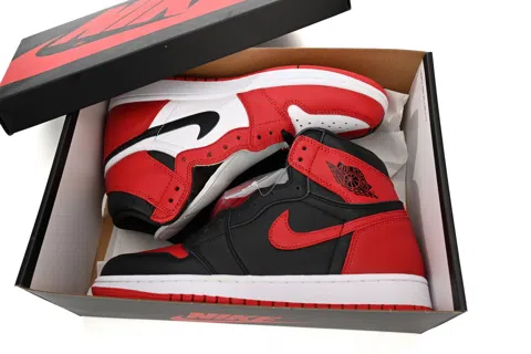 Air Jordan 1 High Homage to Home – photo 9