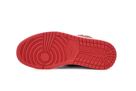 Air Jordan 1 High Homage to Home – photo 5