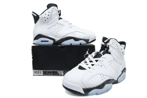 Air Jordan 6 Reverse Oreo – photo 7