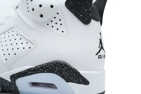 Air Jordan 6 Reverse Oreo – photo 5