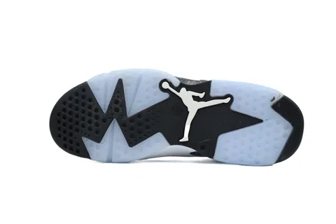 Air Jordan 6 Reverse Oreo – photo 4