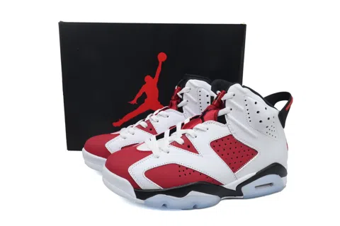 Air Jordan 6 Carmine – photo 6