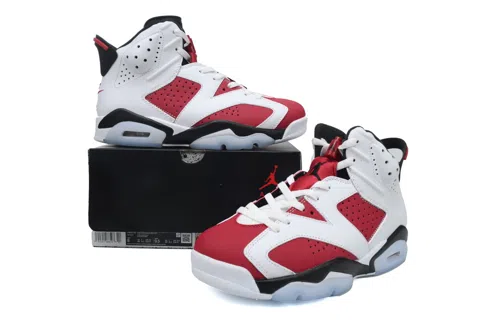 Air Jordan 6 Carmine – photo 7