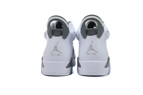 Air Jordan 6 Cool Grey – photo 3