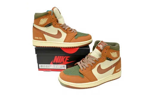 Air Jordan 1 High Brown/Olive – photo 8