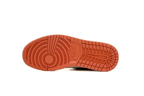 Air Jordan 1 High Dusted Clay – photo 4