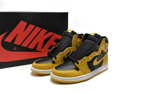 Air Jordan 1 High Pollen – photo 12