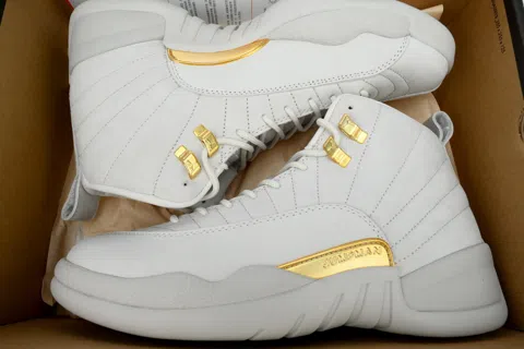 Air Jordan 12 Phantom – photo 8
