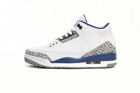 Air Jordan 3 Wizards