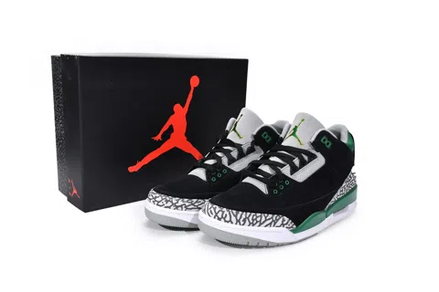 Air Jordan 3 Pine Green – photo 12