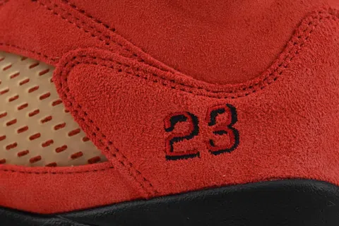 Air Jordan 5 Dunk on Mars – photo 5