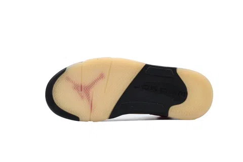 Air Jordan 5 Dunk on Mars – photo 4