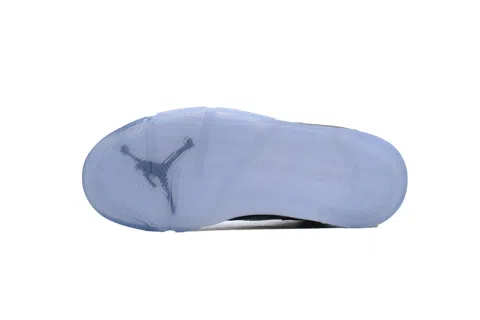 Air Jordan 5 Wolf Grey – photo 4