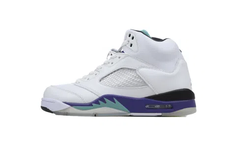 Air Jordan 5 Grape