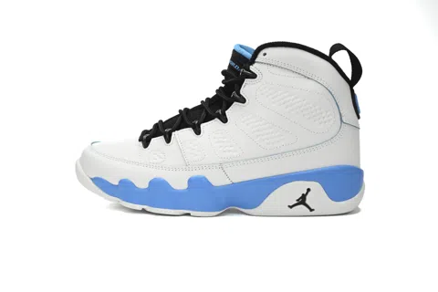 Air Jordan 9 Powder Blue