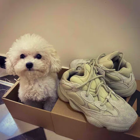 Yeezy 500 Stone – photo 12