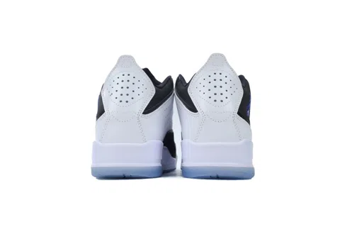 Air Jordan 23 Concord – photo 3