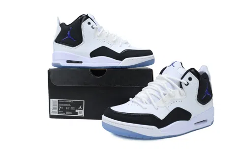 Air Jordan 23 Concord – photo 7