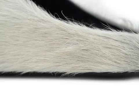 Marni Fussbett Sabot Grey – photo 5