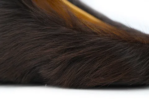 Marni Fussbett Sabot Brown – photo 5