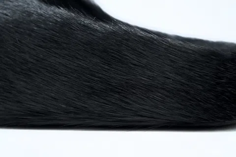 Marni Fussbett Sabot Black – photo 6