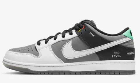 Nike SB Dunk Low Camcorder