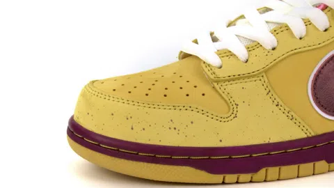 Concepts x Nike SB Dunk Low Yellow Lobster – photo 5