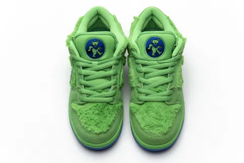 Nike SB Dunk Low Green Bear – photo 6