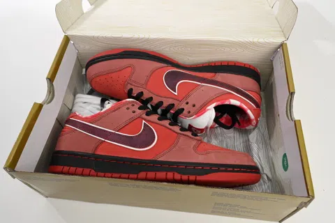 Concepts x Nike SB Dunk Low Red Lobster – photo 12