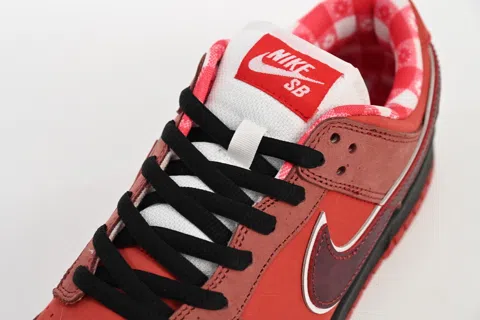 Concepts x Nike SB Dunk Low Red Lobster – photo 8