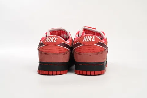 Concepts x Nike SB Dunk Low Red Lobster – photo 6