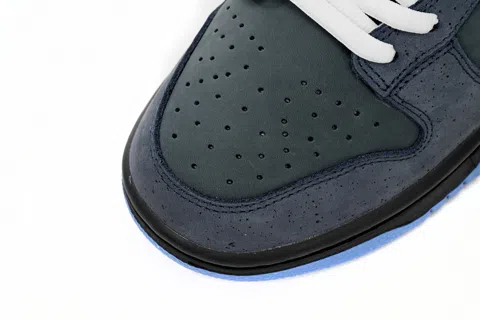 Nike SB Dunk Low Blue – photo 6