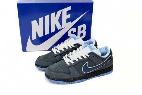 Nike SB Dunk Low Blue – photo 9