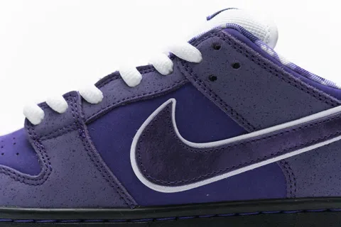 Nike SB Dunk Low Purple – photo 10