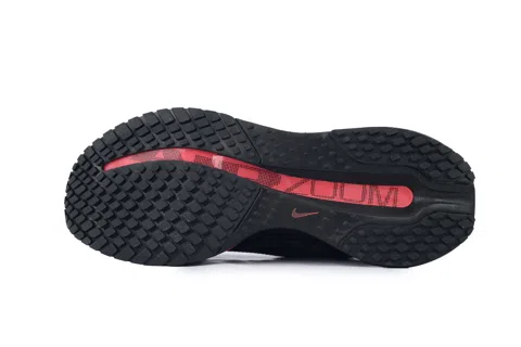 Nike Pegasus Premium Black Bright Crimson – photo 4