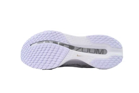 Nike Pegasus Premium White Metallic Silver – photo 4
