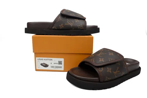 Louis Vuitton Pool Pillow Comfort Mule Coffee Monogram – photo 8