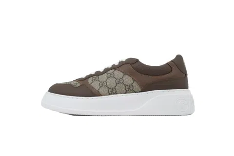 White/Brown