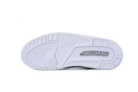 Air Jordan 3 Pure Money – photo 4