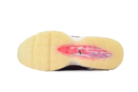 Nike Air Max 95 Anatomy Of Air – photo 4